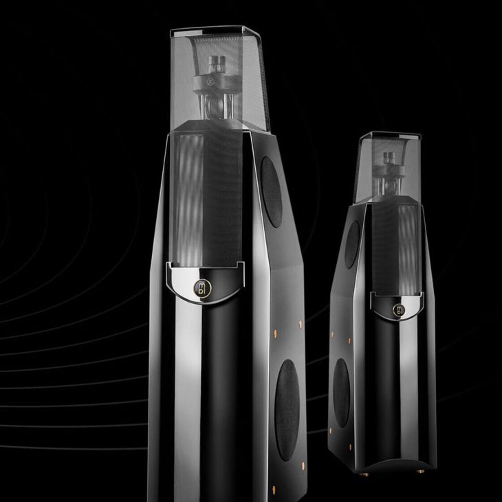 Audio speakers MBL 116F